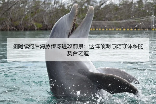 图阿续约后海豚传球进攻前景：达阵预期与防守体系的契合之道